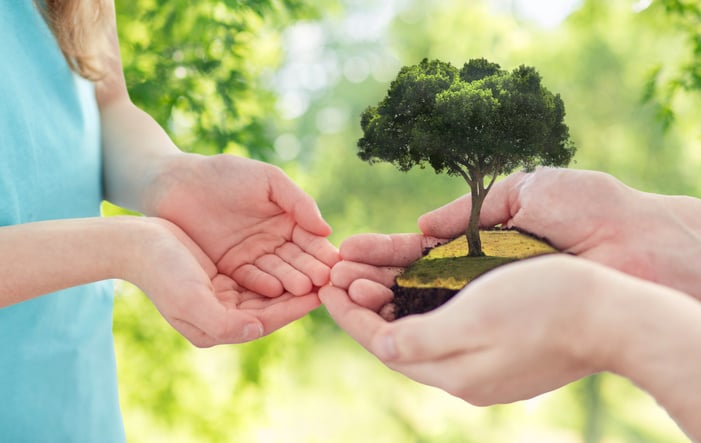 Close up of Father's and Girl's Hands Holding Tree